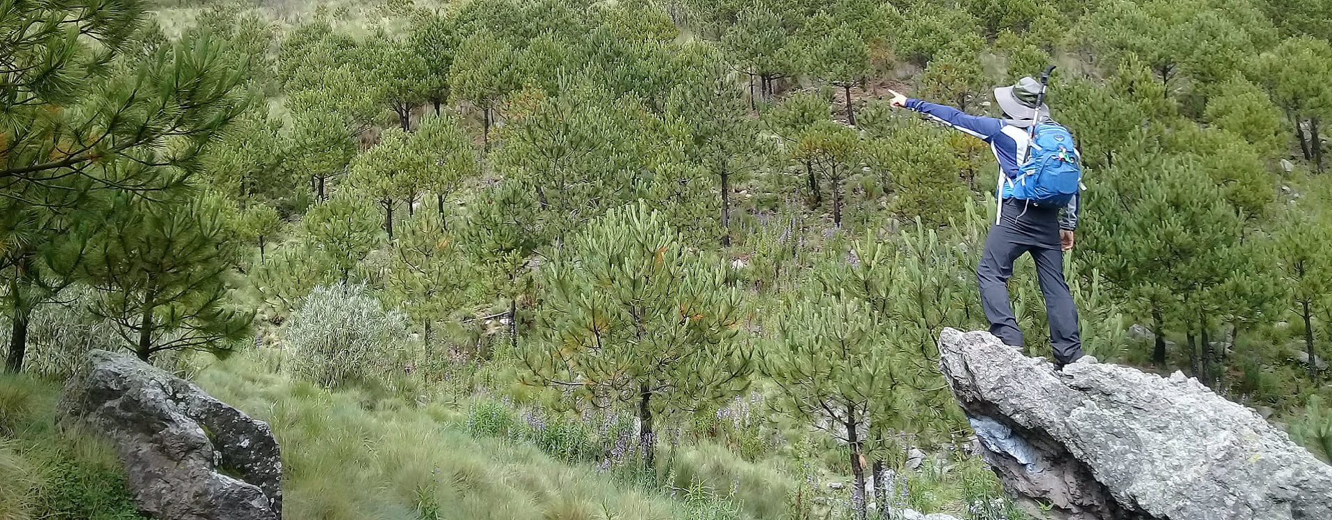 Senderismo en el Ajusco, Pico del Águila